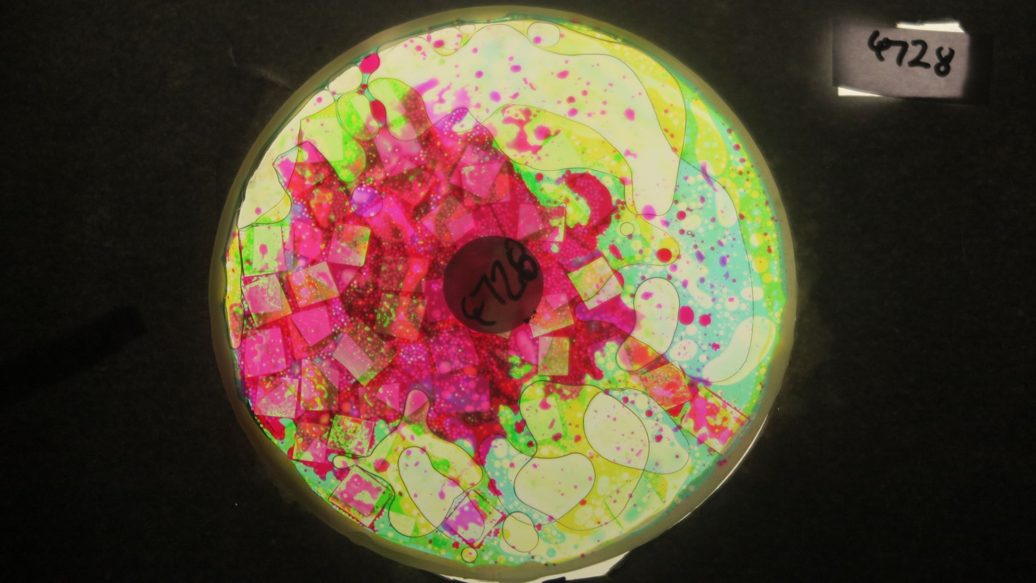 BV4728 bubble vision oil wheel